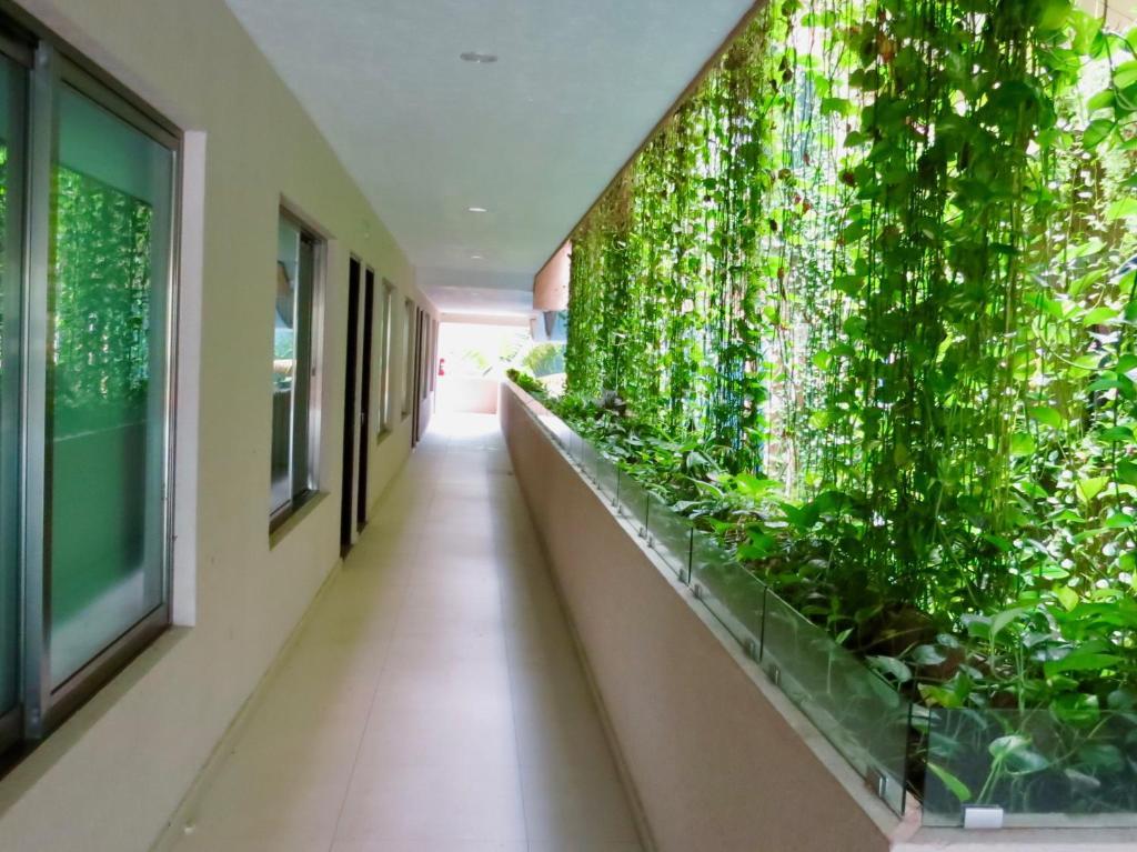 Palmarena & Apartahotel 3*